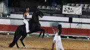 Escales équestres : un voyage féerique aux arènes de Bellegarde