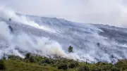 Espagne : 104 000 hectares brûlés en 2026, dont 26 000 en cinq jours