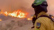 Espagne : 12 morts dans un incendie de forêt près d'Almería