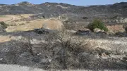 Espagne : 12 morts et 6 600 hectares brûlés, mais l'incendie en voie d'être maîtrisé