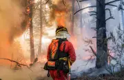 Espagne : incendies à l'ouest de Madrid fusionnent, un feu hors de contrôle