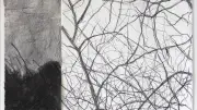 Eve Luquet expose ses collages d'arbres à Ganges