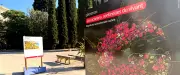 Exposition gratuite sur les acariens au Jardin des plantes de Montpellier