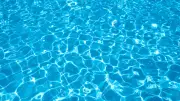 Femme trans évacuée d'une piscine à Berne : la ville s'excuse