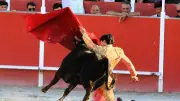 Feria de Boujan : Neyan Espin triomphe avec deux oreilles