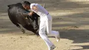 Feria de Saint-Georges-d'Orques : courses retardées à cause de la chaleur