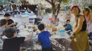 Festival 
