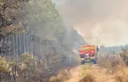 Feu de forêt en Gironde : situation stabilisée mais toujours précaire