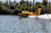 Feu de forêt en Seine-et-Marne : à Fontainebleau, l'incendie reste loin mais l'inquiétude grandit