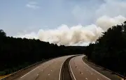 Feu de forêt à Fontainebleau : l'A6 fermée jusqu'à nouvel ordre