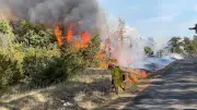 Feu tactique : une technique gardoise redoutable contre les incendies en Gironde