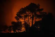 Feux convectifs en Gironde et Landes : un phénomène inquiétant expliqué