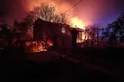 Feux dans le Var, départ de Monique Barbut, loi RIPOST : l'actu du 22 juillet