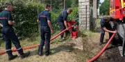 Feux de forêt : les pompiers du Sud prêtent main-forte en forêt de Fontainebleau
