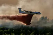 Feux de forêt : l'UE se prépare à un été redouté avec des moyens renforcés