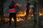 Feux de forêts : le cercle vicieux du carbone qui aggrave le climat
