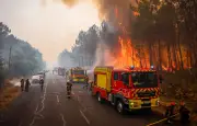 Feux en France : 115.000 hectares brûlés, Macron réunit une cellule de crise