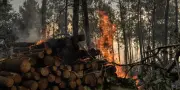Feux en Gironde : 14 reprises de feu constatées, situation stabilisée selon la préfète