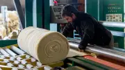 Filature Colbert : ouverture du capital pour relancer la laine en Aveyron