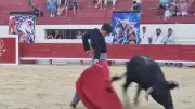 Finale des Becerradas : trois novilleros en lice aux arènes