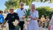 Foire de la Cèbe à Lézignan : le poulpe rencontre l'oignon doux