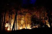 Fontainebleau : 1 000 hectares brûlés, pire incendie de l'histoire moderne