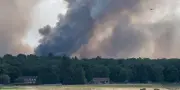À Fontainebleau, la forêt en flammes : des habitants sous le choc