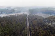 Forêt des Landes : après les incendies, l'écologue Gauquelin prône l'abandon de la monoculture