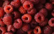Framboise : bienfaits santé, fibres, vitamine C et antioxydants