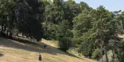 France : troisième canicule la plus longue jamais mesurée