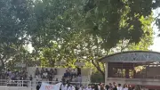 Fête de l'école primaire : les arènes de Codognan remplies de danses