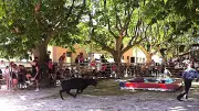 Fête du village à Saint-Martin-de-Valgalgues : toro-piscine et concert