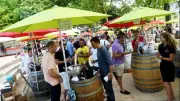 Fête du vin IGP Cévennes et animations culturelles dans le Gard