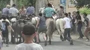 Fête nationale à Sommières : traditions camarguaises et animations