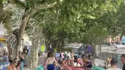 Fête votive à Aimargues : journée des enfants et programme du jeudi