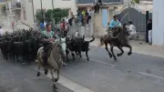 Fête votive de Bouillargues : 5 jours de traditions et 40 taureaux lâchés lundi