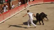 Fête votive de Castries : le programme complet des courses camarguaises