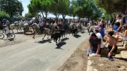 Fête votive de Saint-Hilaire-d'Ozilhan du 9 au 13 juillet 2026