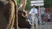 Fête votive de Saint-Just : huit jours de traditions, musique et défis sportifs