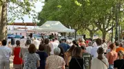 Fête votive à Entre-Vignes : traditions camarguaises et animations