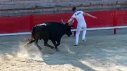 Fête votive à Saint-Christol : Razet de Manco remporte le 51e trophée Louis-Gros