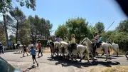Fête votive à Saint-Jean-de-Serres : tradition et convivialité au rendez-vous