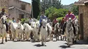 Fête votive à Valliguières : une édition 2026 réussie avec la roussataïo