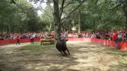 Fêtes et spectacles : l'été s'anime dans les Cévennes