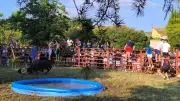 Fêtes lignanaises 2026 : trois jours de festivités au square Paul-Roque