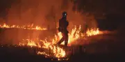 Fusion de deux incendies à Madrid : 6 000 hectares brûlés