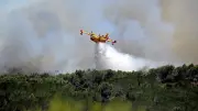 Gard : 540 hectares brûlés, trois maisons détruites près de Nîmes