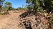 Gard : 6 000 m² de garrigue dévastés par des coupes sauvages
