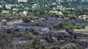 Gard : après l'incendie de 540 ha, les communes se reconstruisent