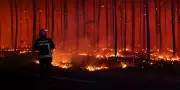 Gironde : 2 000 hectares brûlés, des milliers d'évacués